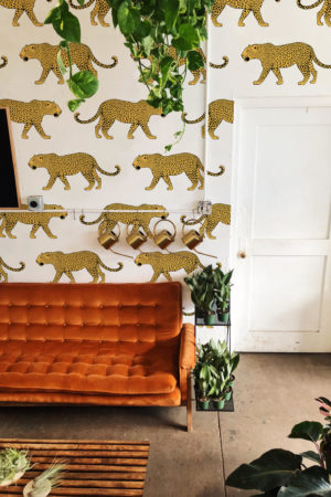 N08 wallpaper tigers lines pop yellow living room