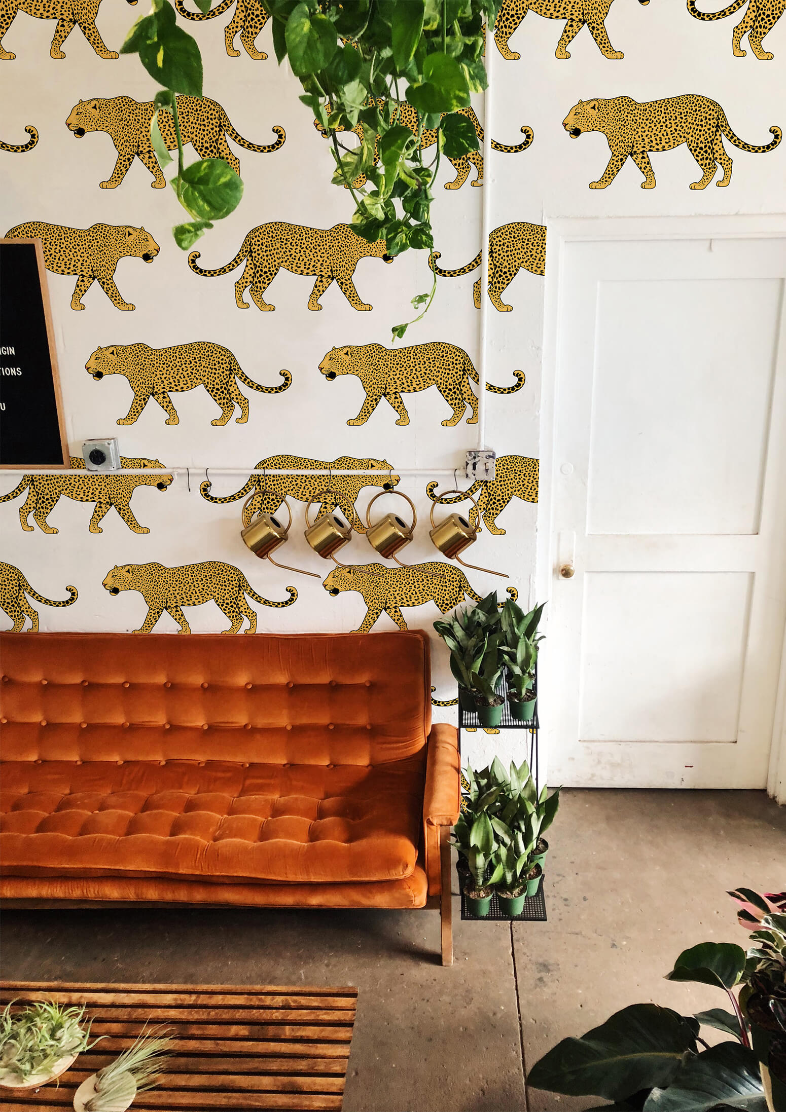 Papier peint N08 tigres lignes jaune pop salon