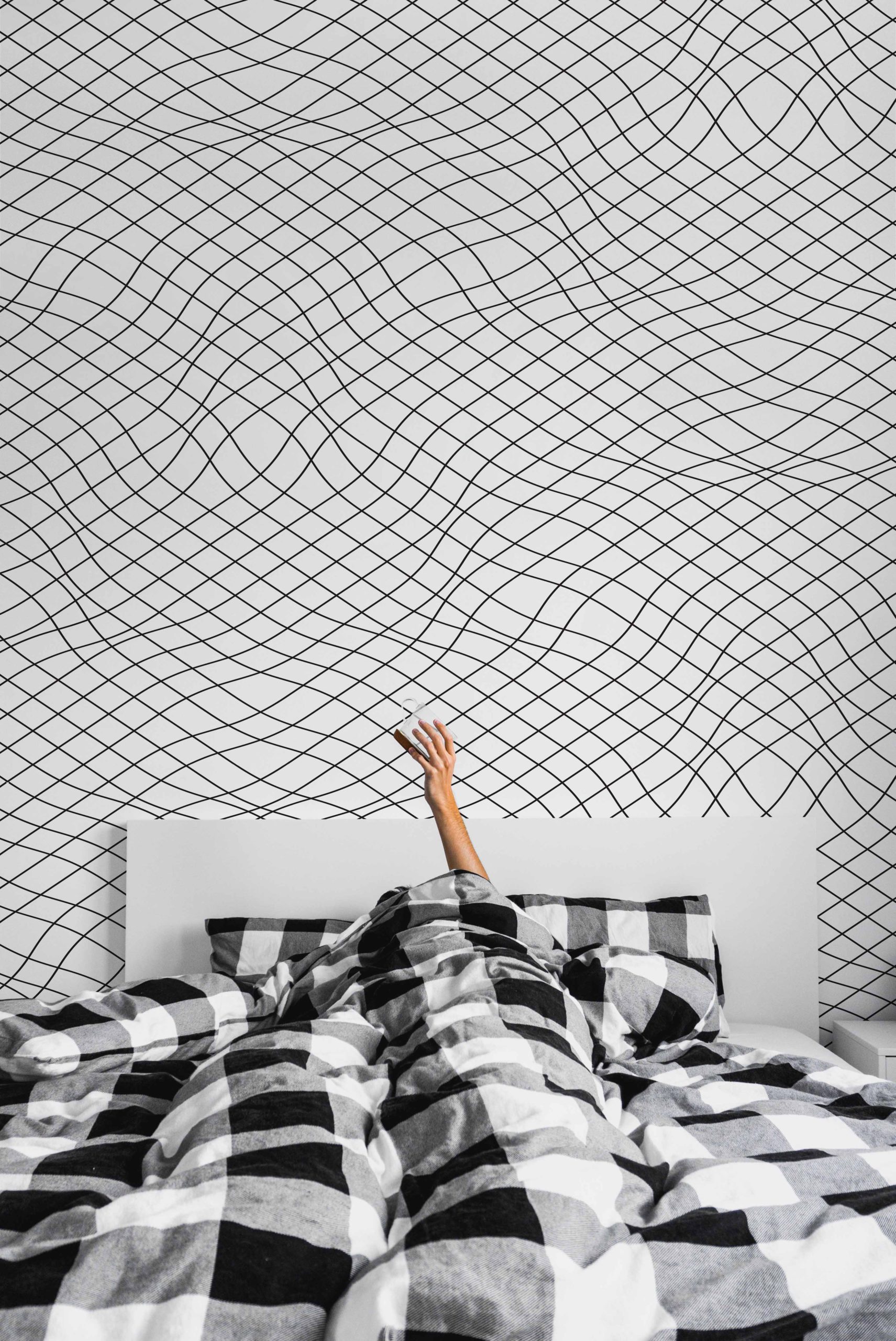 Wallpaper n°16 Fine Line Graphic Wallpaper