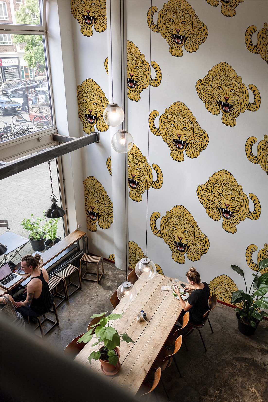 Wallpaper n°41 Wallpaper No. 41 Roaring Leopard 2