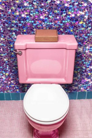 papier peint wc