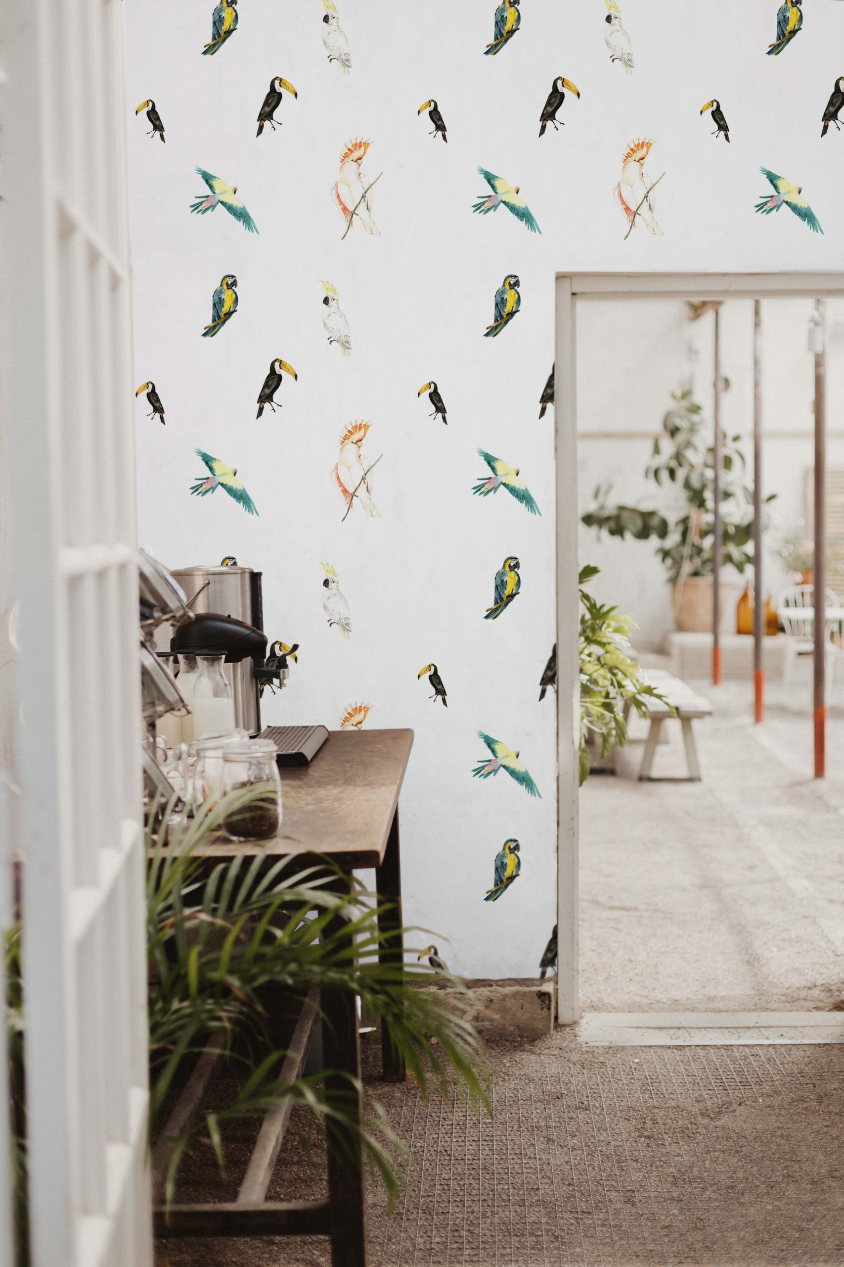 Vintage Tropical Birds Wallpaper N48 Public Space Kitchen