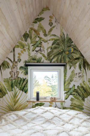 Wallpaper n°56 Fauna and flora 2