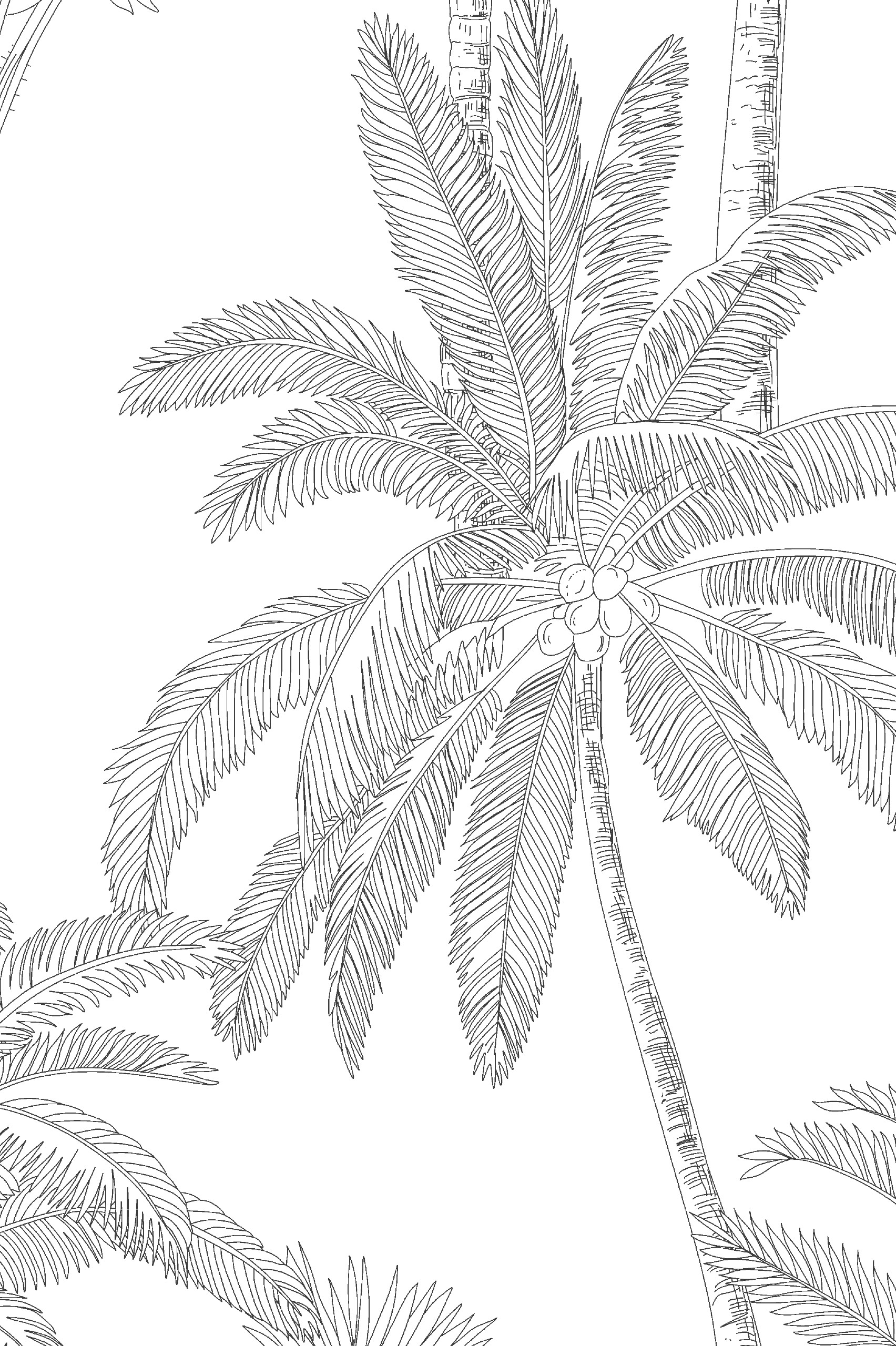 N60 Public Spaces Palm Tree Wallpaper on White Background Zoom