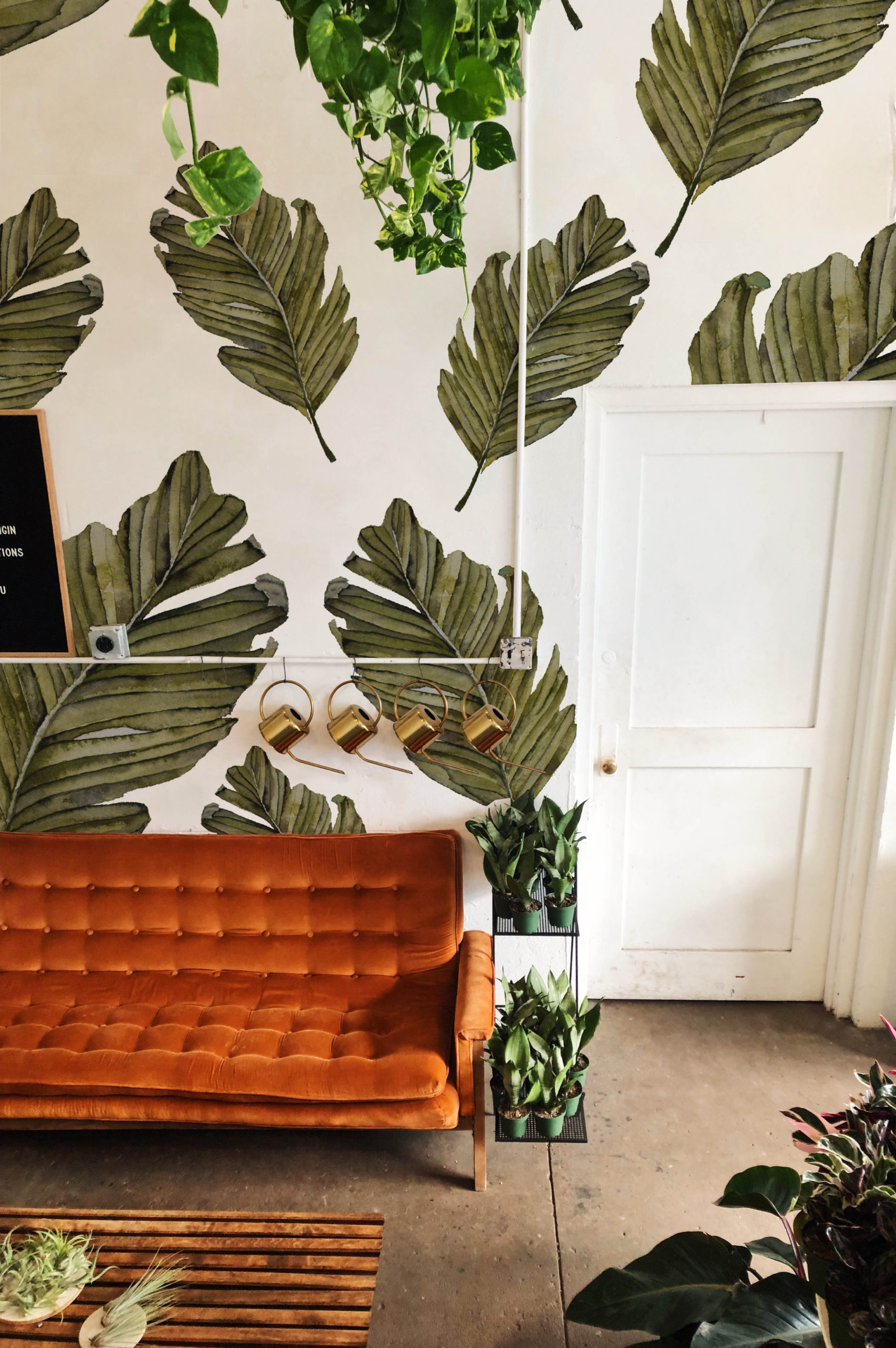 n63 Watercolor Leaf Plant Wallpaper