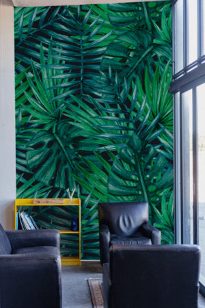 Tropical Atmosphere Wallpaper