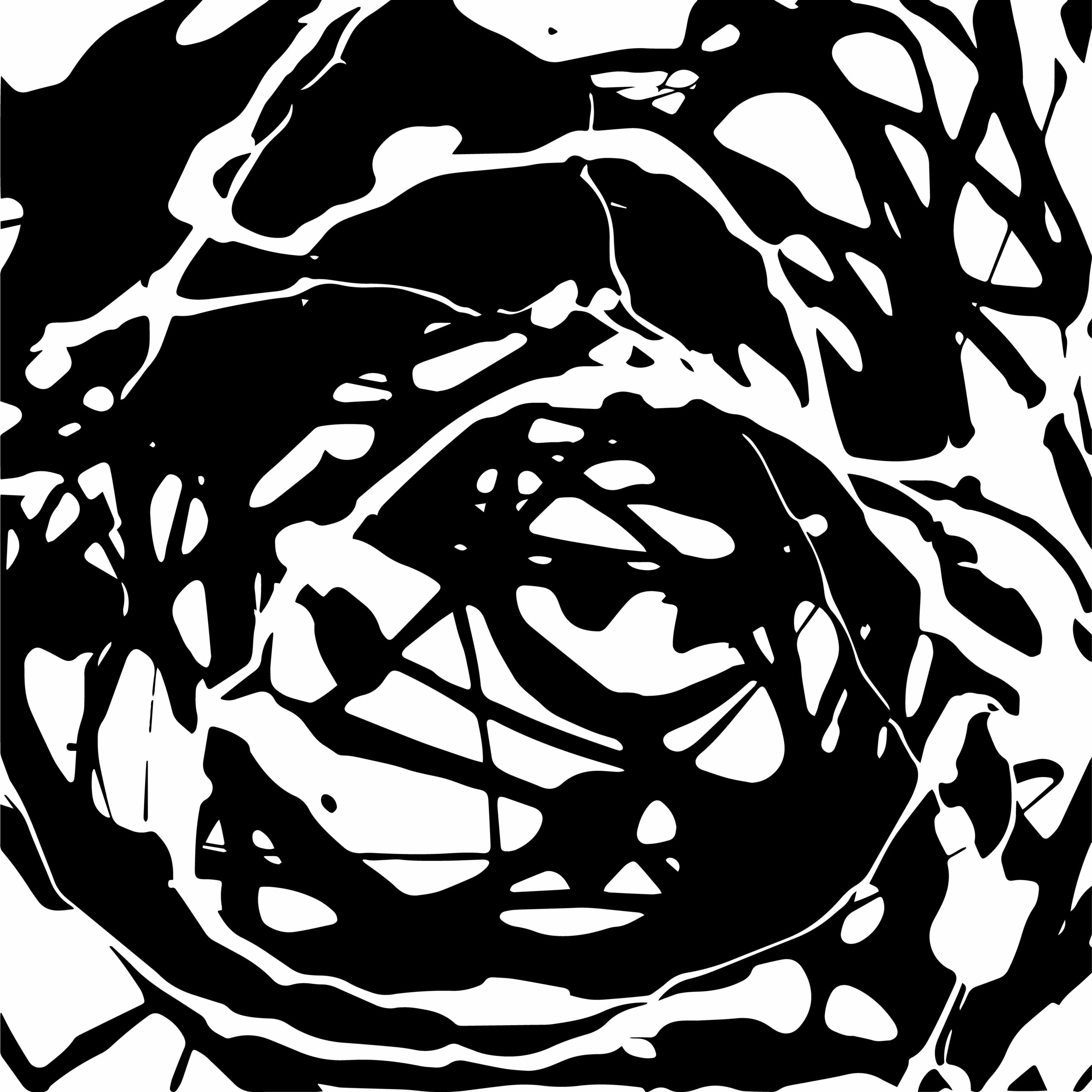 n82 Panoramic wallpaper painting in black and white