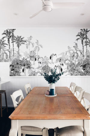 Wallpaper n°114 Birds ibis Cuisine