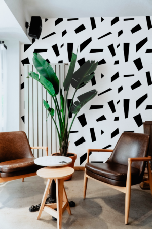 Wallpaper N°127 black and white shapes modern living room