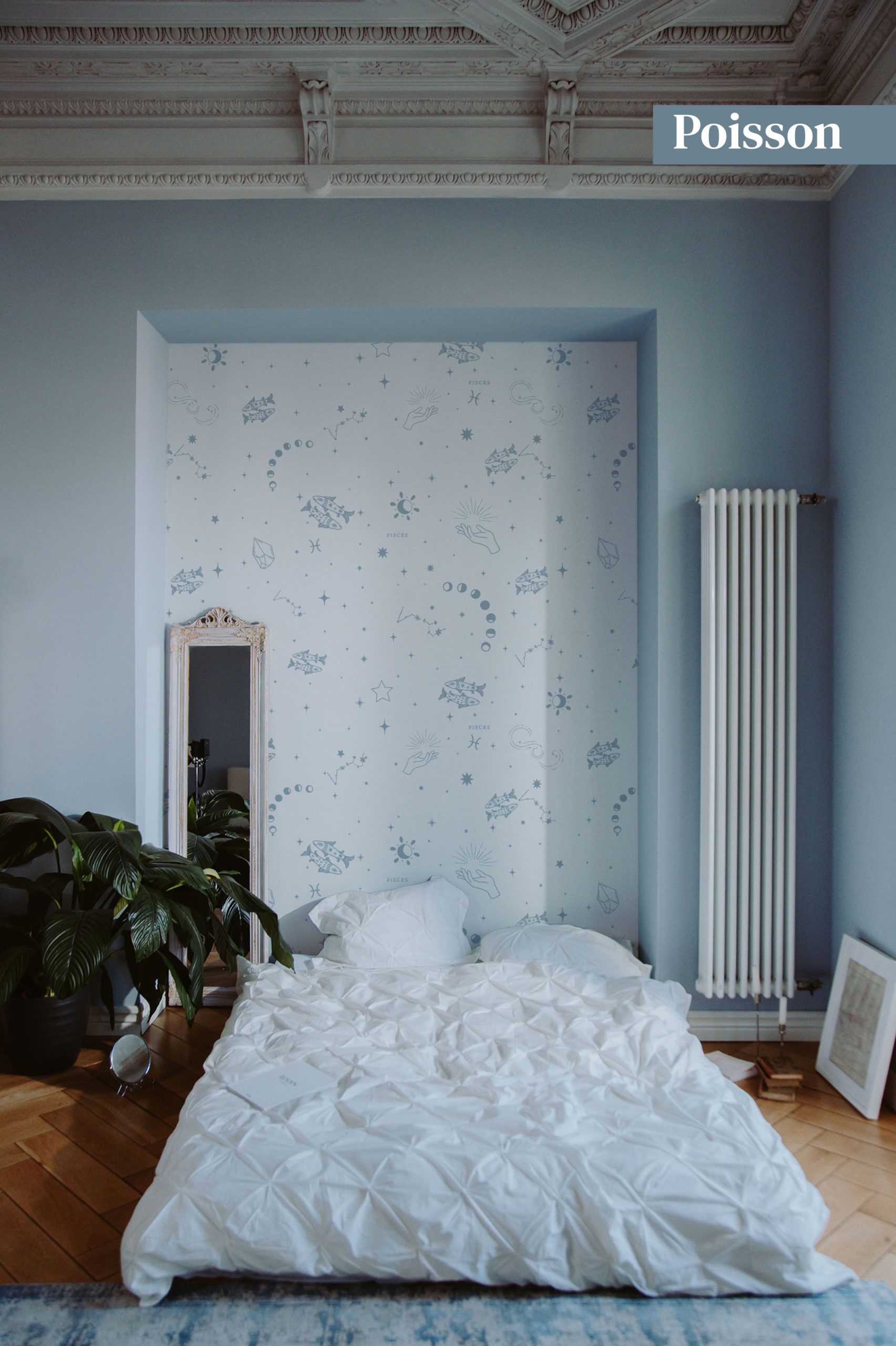 N199-1 Fish astro sign wallpaper