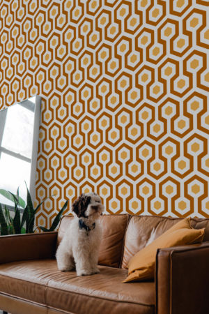 Hexagon Wallpaper X N204