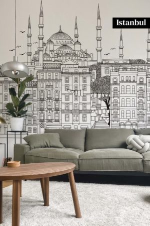 Istanbul wallpaper in black and white