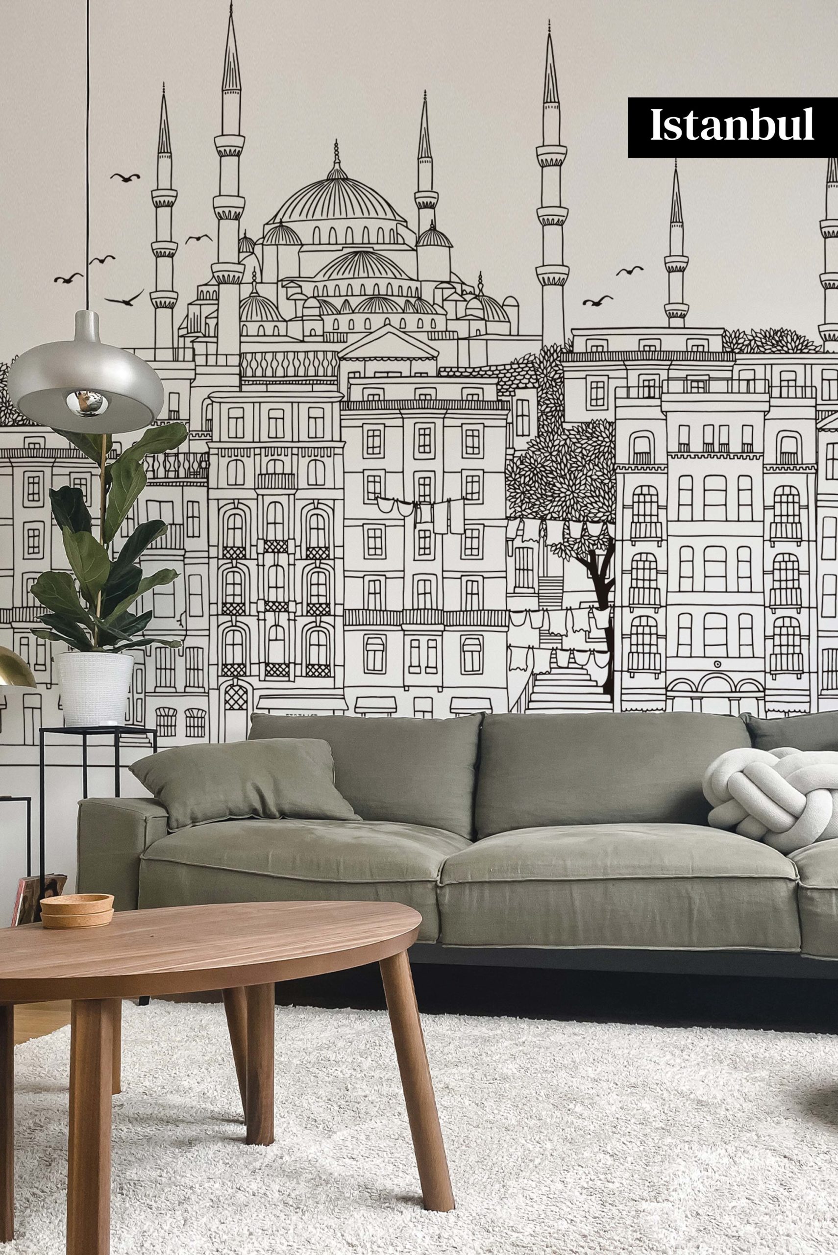 Istanbul wallpaper in black and white