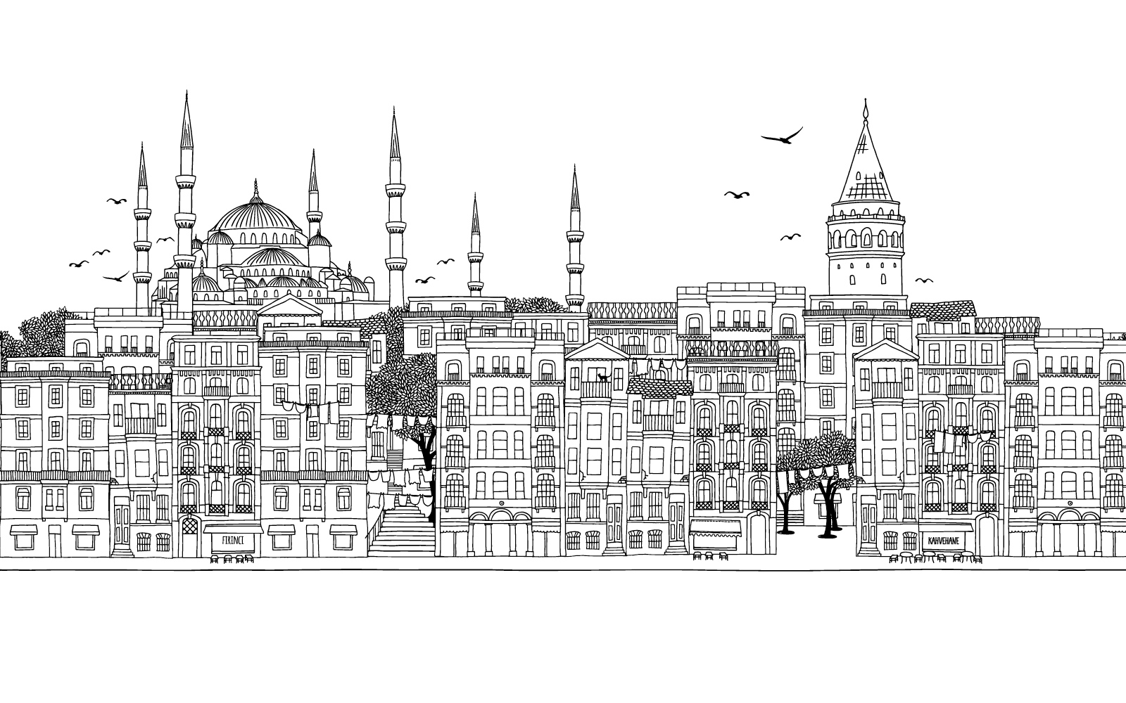 Istanbul wallpaper in black and white