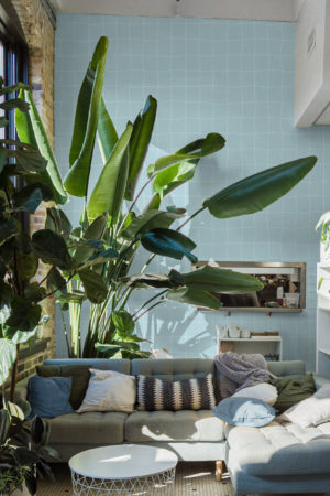 n254 Swimming Pool wallpaper