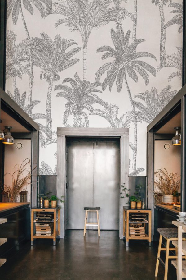 N60 Palm Public Spaces Wallpaper on White Background