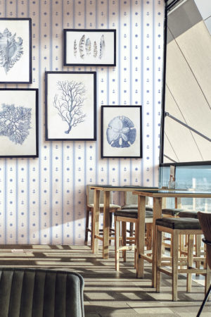 N257 Sailor Wallpaper