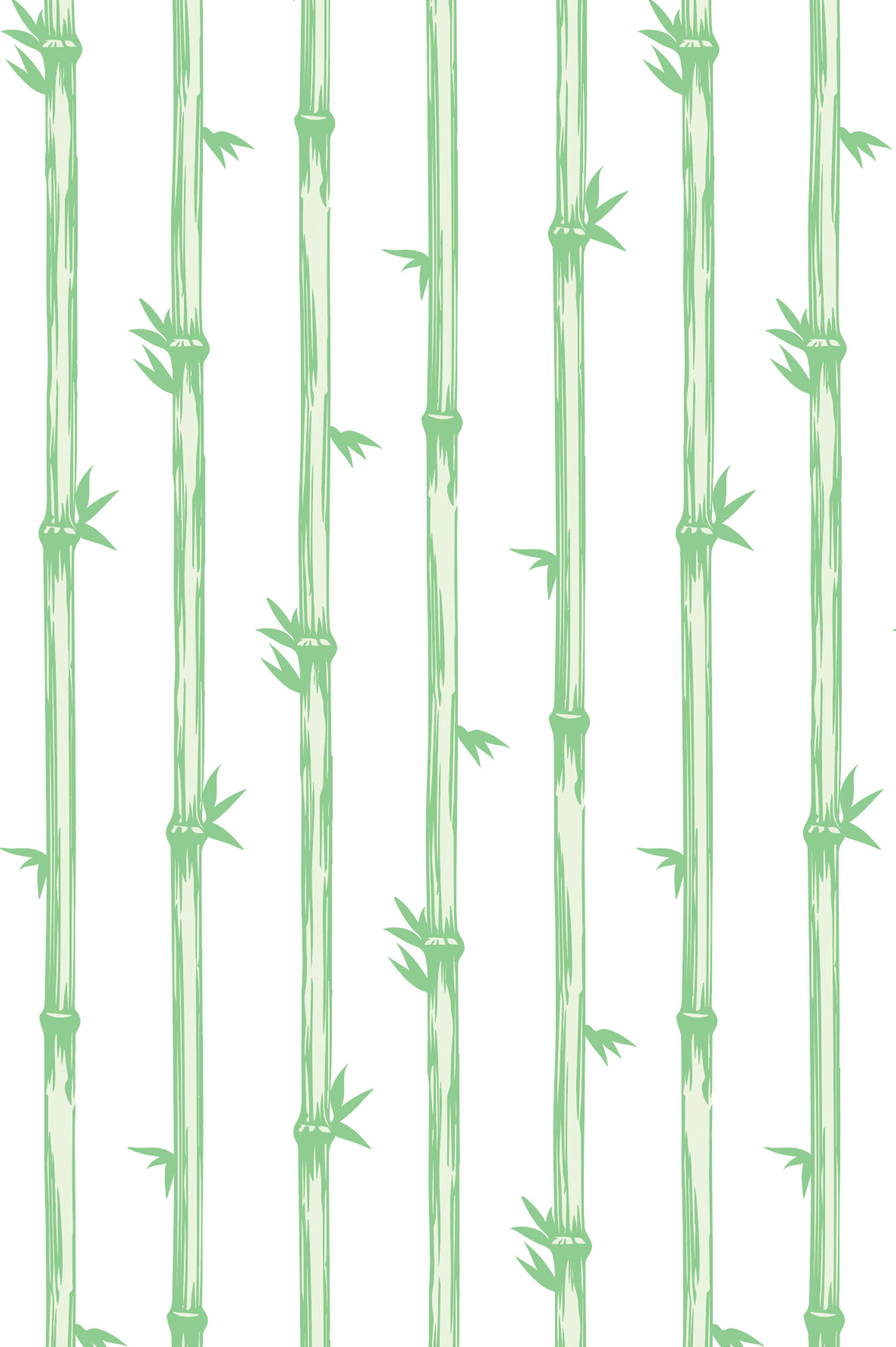 N267 Bamboo Forest Wallpaper