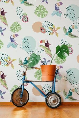 N275 Toucan Wallpaper