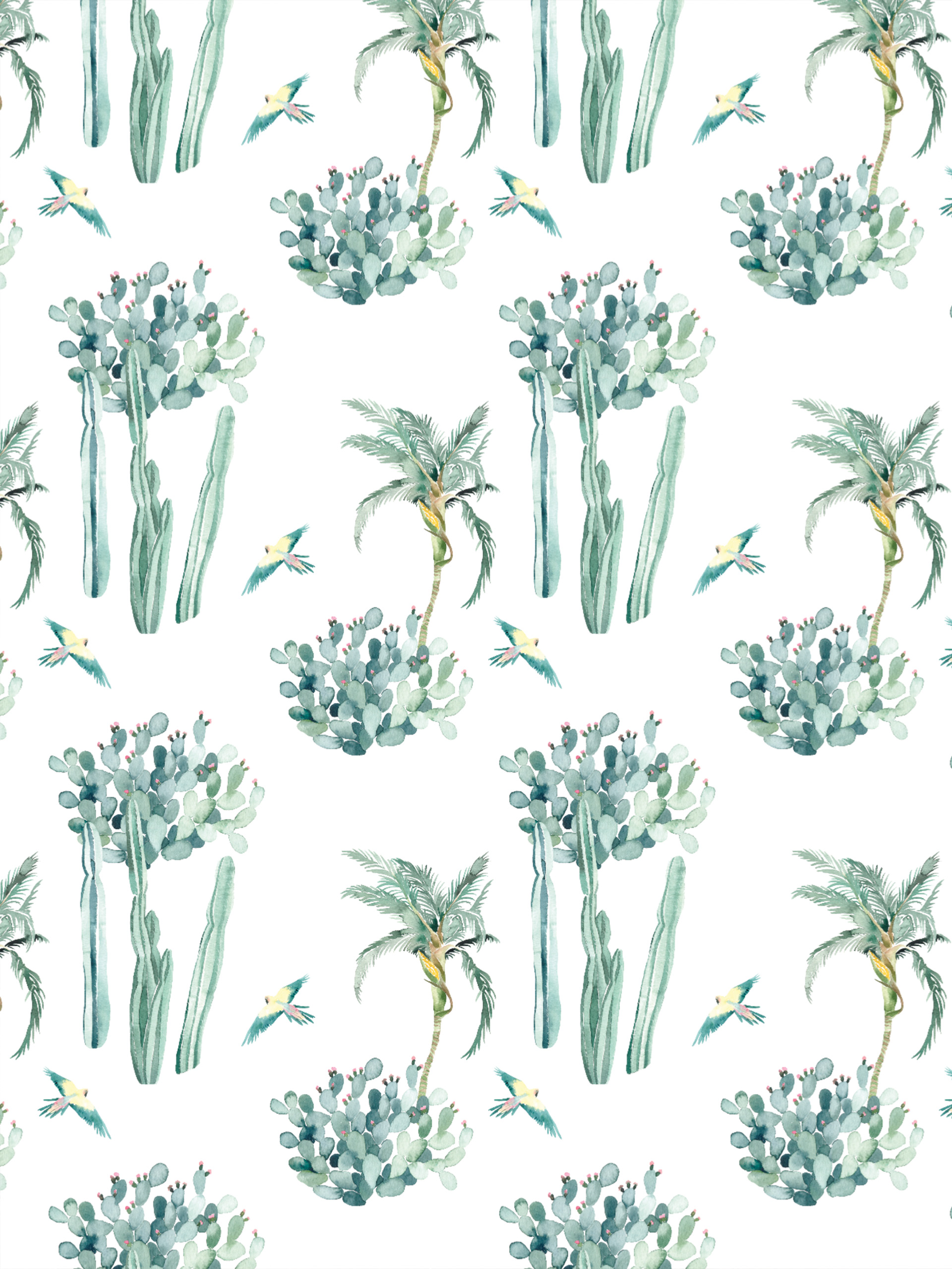 n281_m n281 Barbary wallpaper