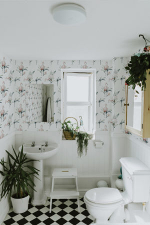 Bathroom Flamingo Wallpaper Animals Nature