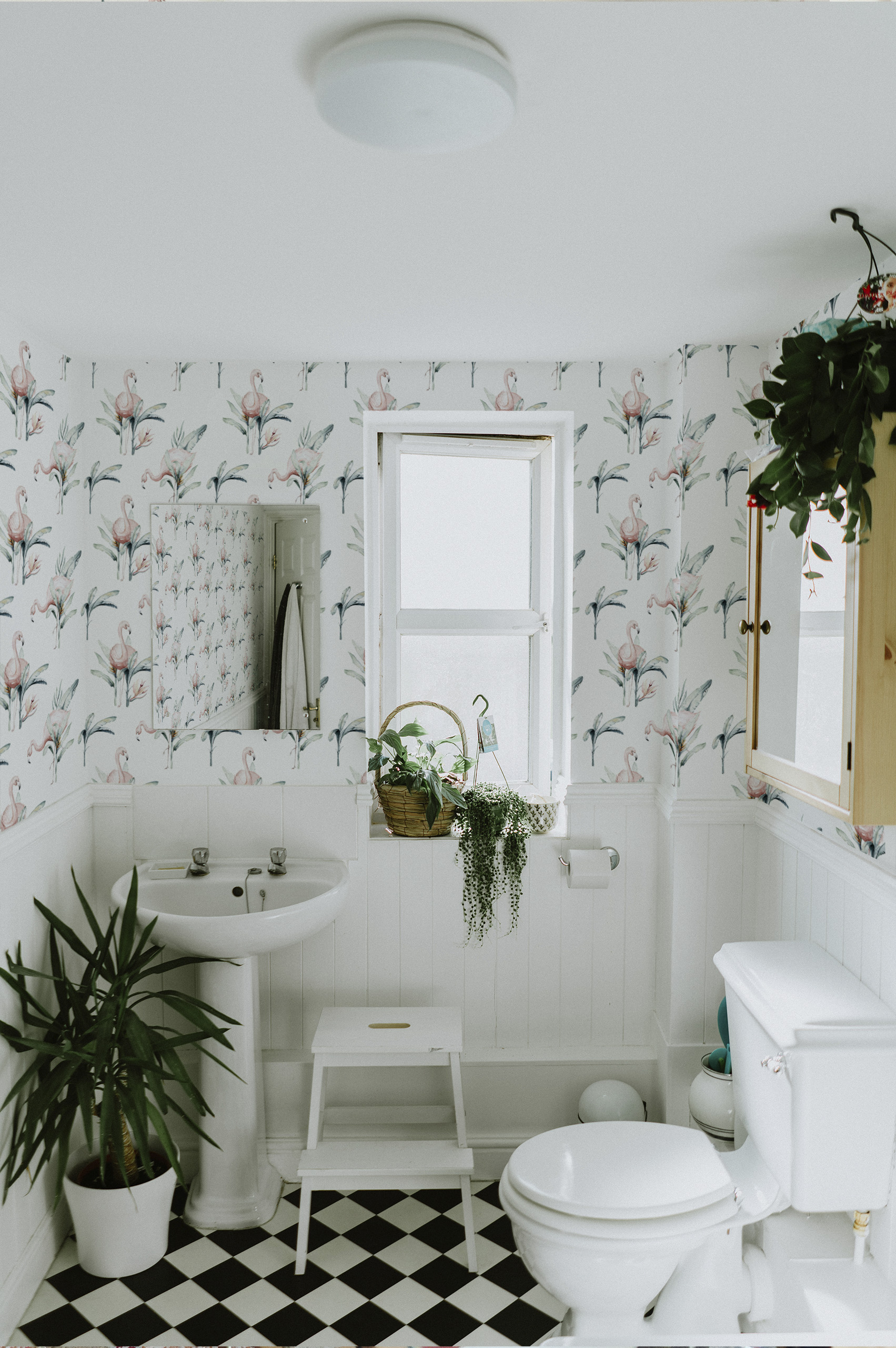 Bathroom Flamingo Wallpaper Animals Nature