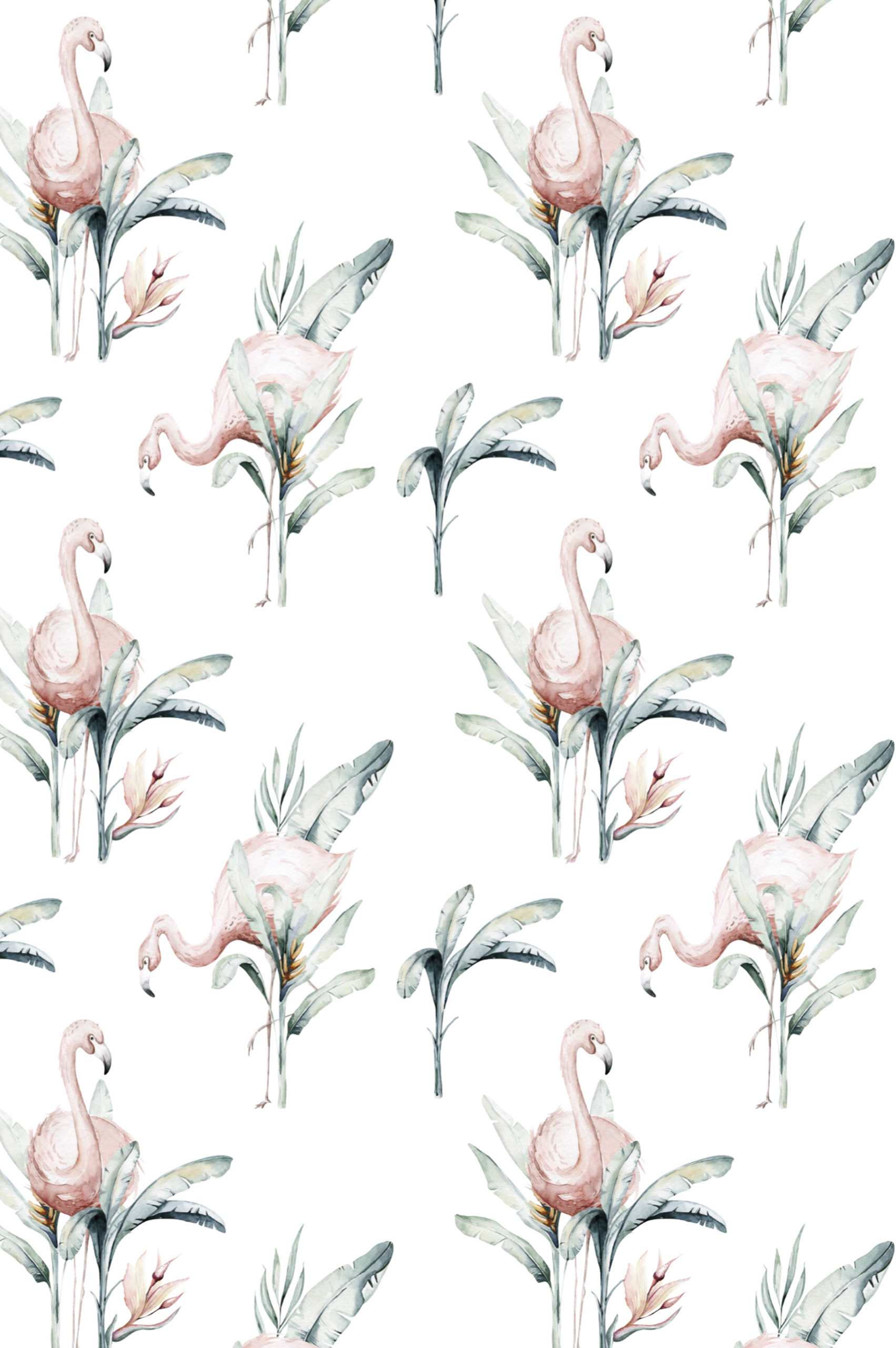 n293_m motif papier peint flamant rose animaux nature