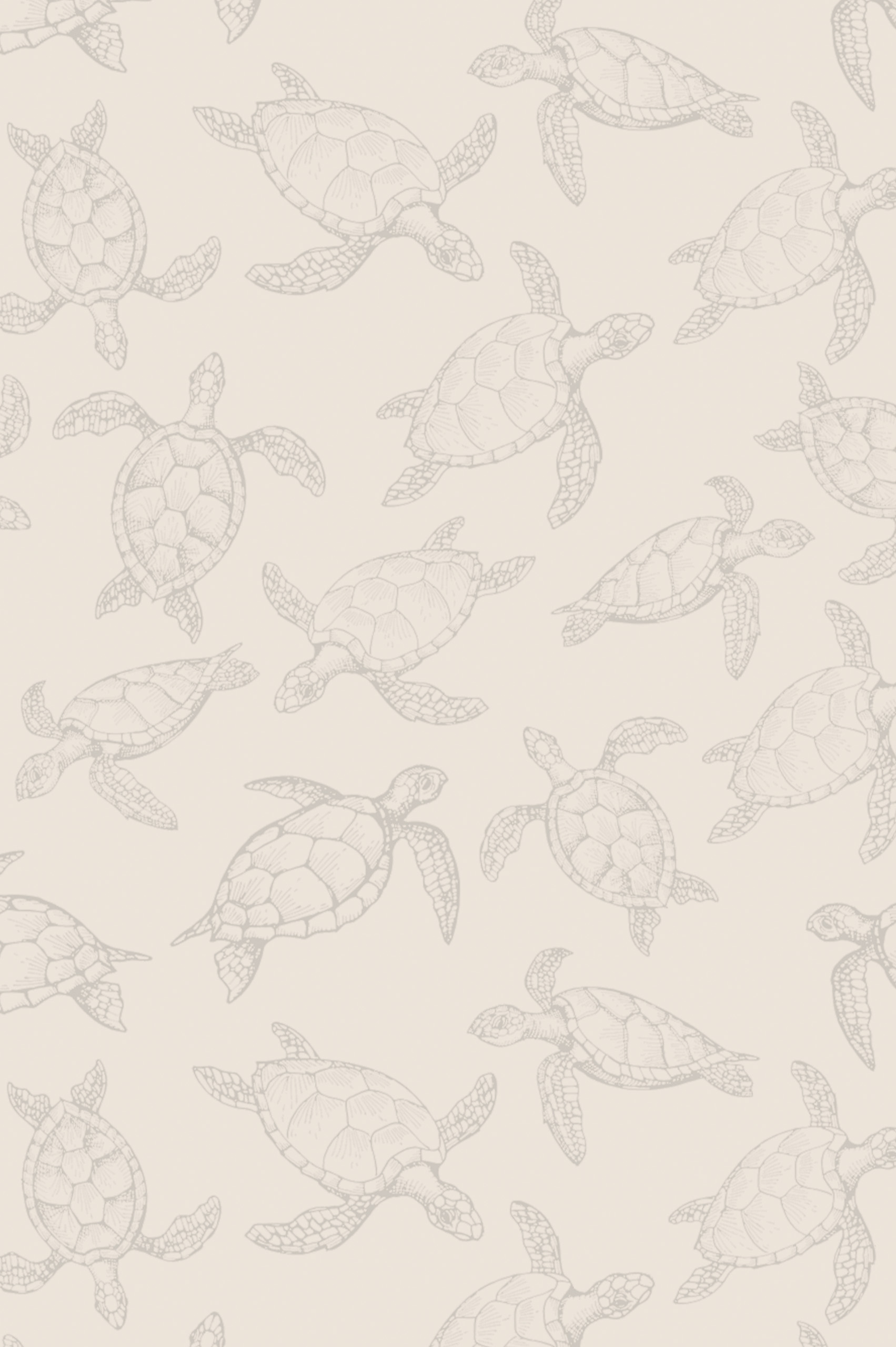 papier peint 320 tortue minimaliste beige motif papier peint 320 tortue minimaliste beige motif