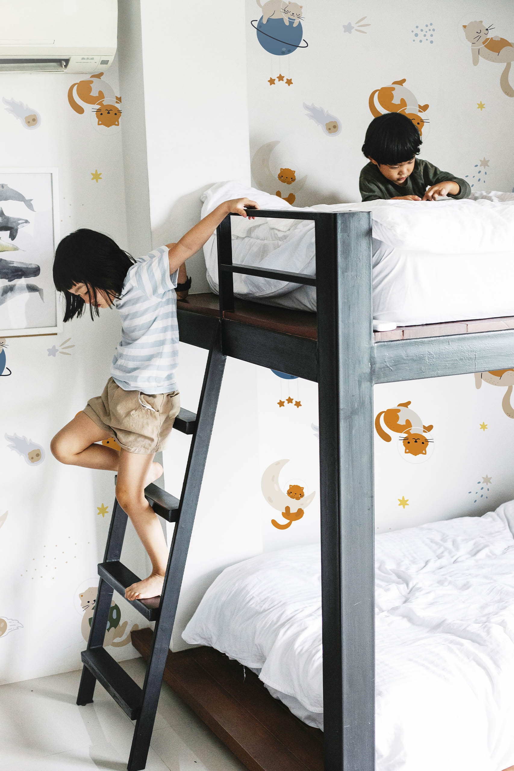 papier peint n334 chat cosmos chambre enfant garçon