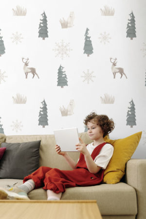 papier peint enfant n331 cerfs et flocons de neige salon