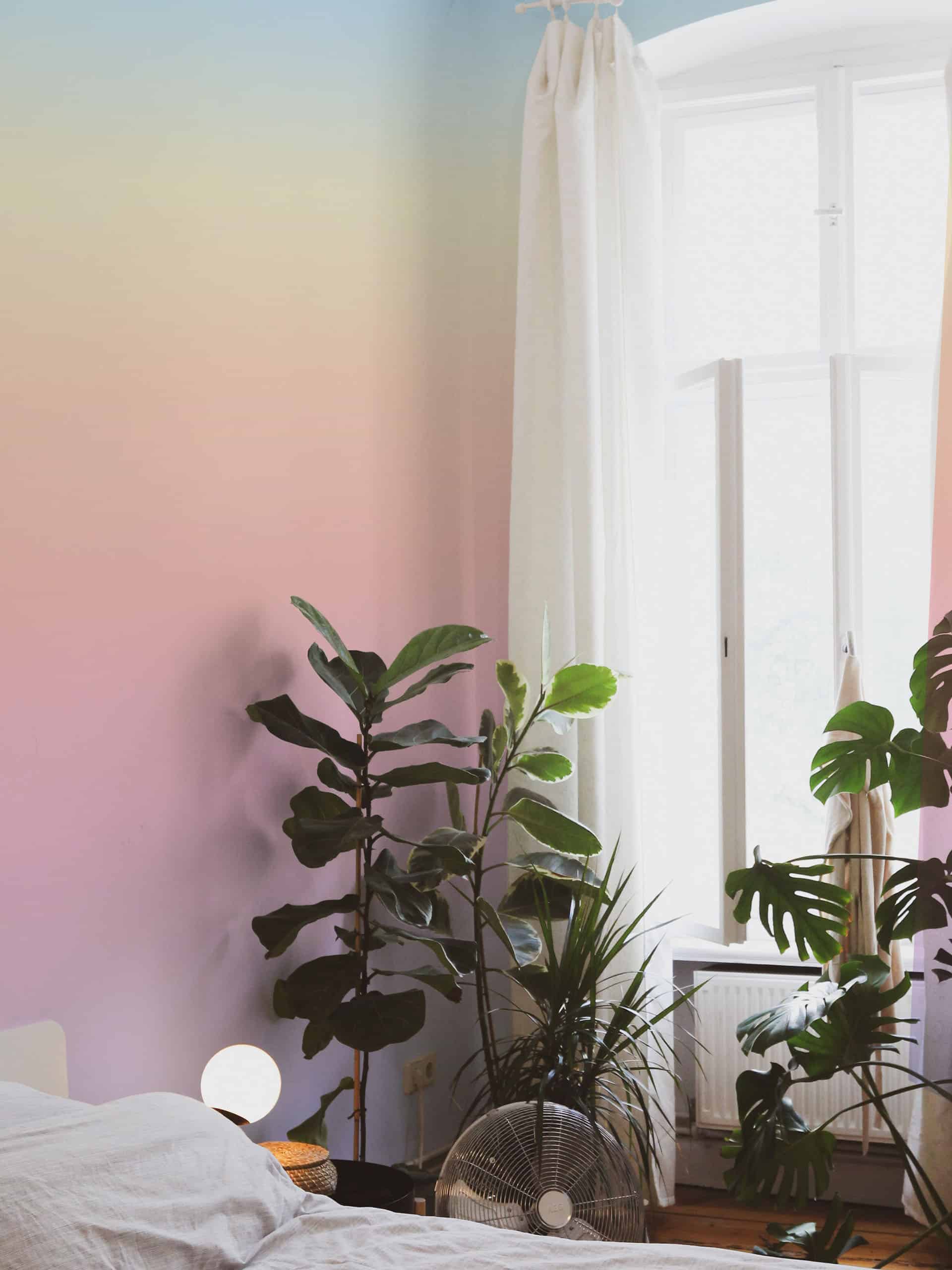 papier peint n335 dégradé multicolore chambre