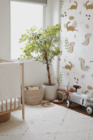 Wallpaper N337 Beige Dinosaur Kids Room Boy