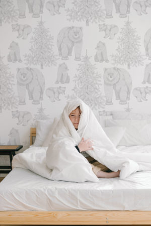 chambre papier peint gris papa ours nature paysage