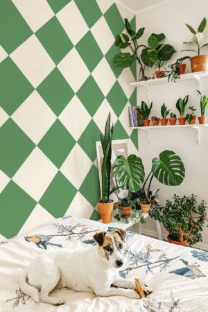 Green bedroom wallpaper checkerboard trendy geometric feel