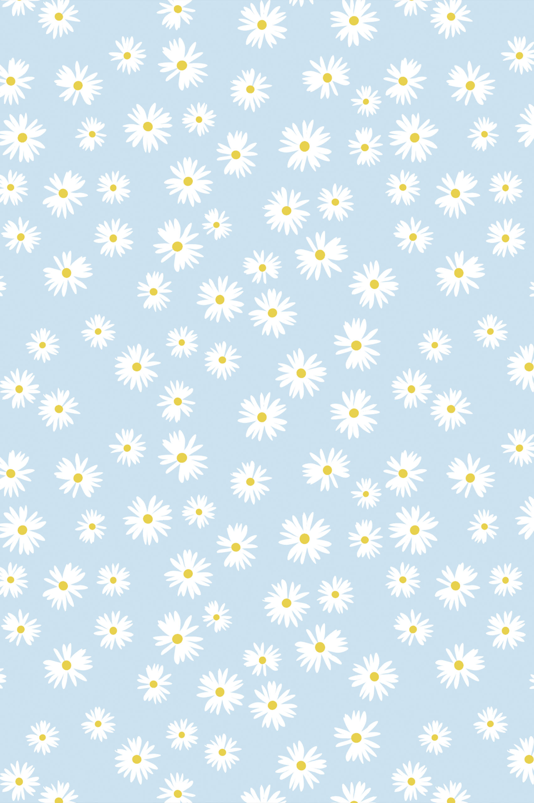 Blue Pattern Trendy Spring Floral Daisy Wallpaper