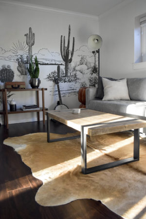 salon gris papier peint végétal désert d'arizona