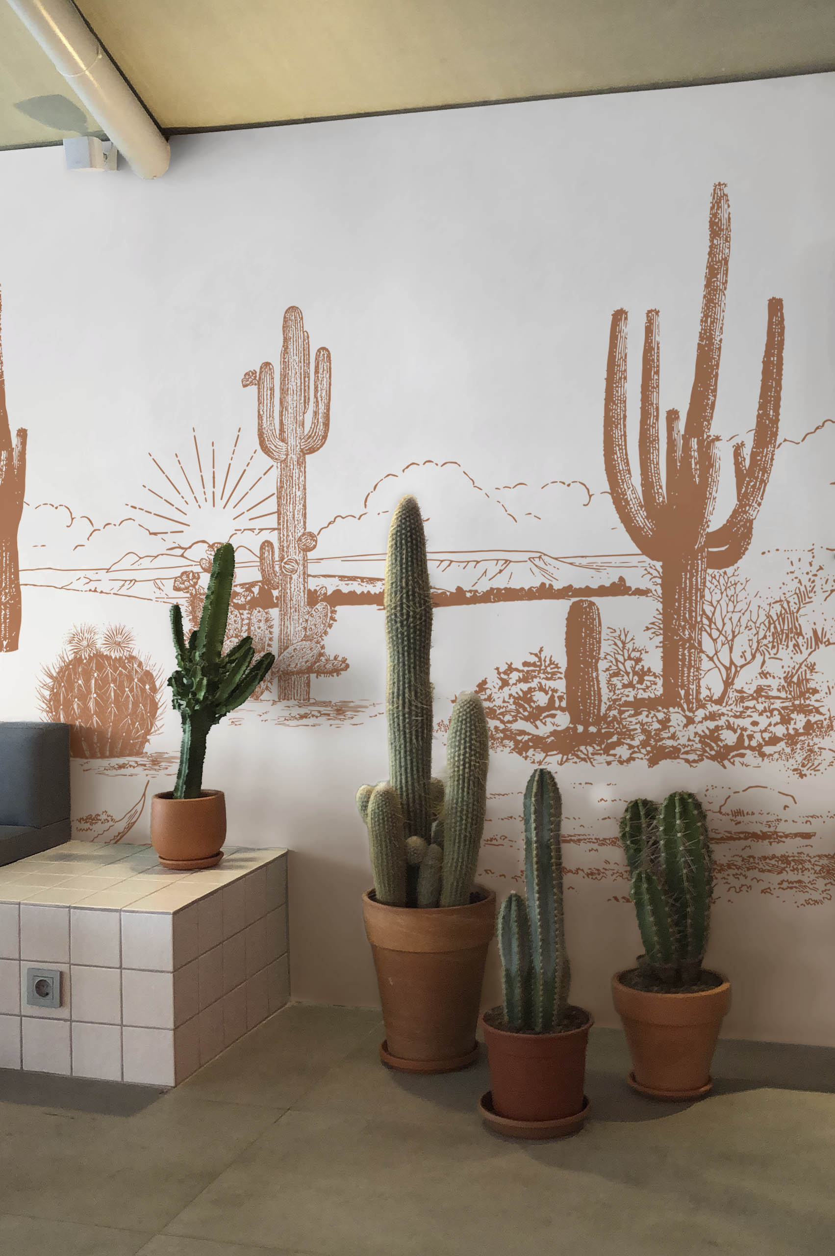 N411 Arizona Desert Terracotta Plant Wallpaper Public Spaces Public Space Terracotta Arizona Desert Plant Wallpaper
