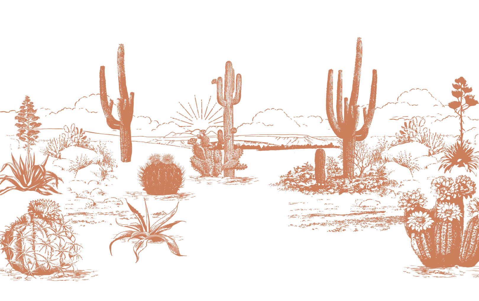 N411 - Arizona Terracotta Desert Plant Wallpaper Terracotta Pattern Arizona Desert Plant Wallpaper