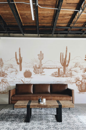 Living room terracotta plant wallpaper Arizona desert