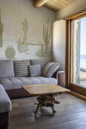 salon vert papier peint végétal désert d'arizona