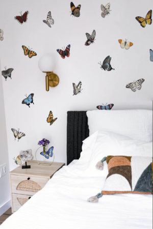bedroom wallpaper animals multicolored butterflies