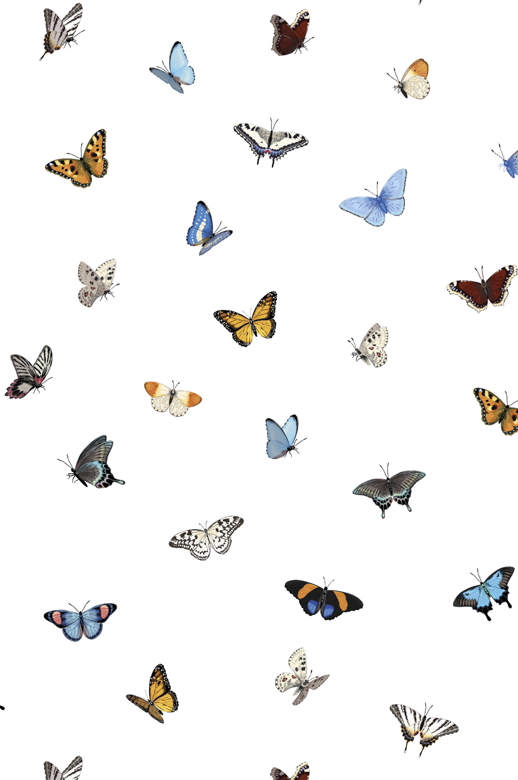 n413 wallpaper butterflies multicolor pattern wallpaper animals butterflies multicolor