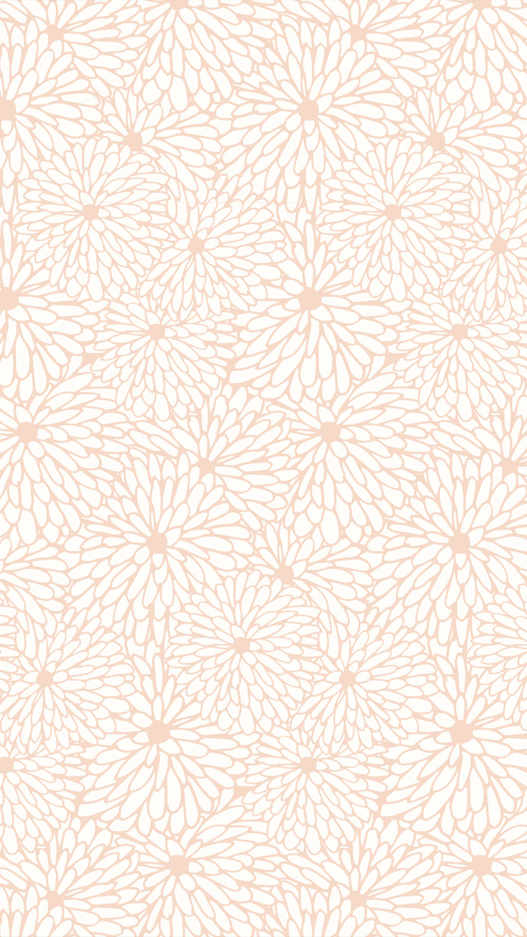 N430 Pink Floral Chrysanthemum Wallpaper Pattern Pink Pattern Trendy Floral Chrysanthemum Wallpaper