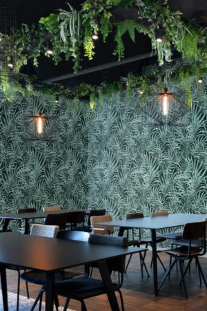 Green Public Space Wallpaper Palm Leaf Trendy Plant