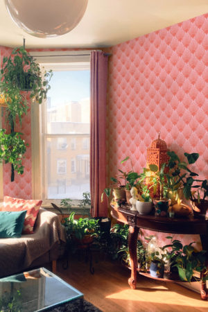 salon rose papier peint coquillages élégance vintage ocean