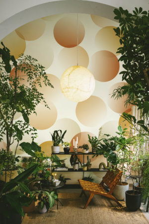 living room terracotta wallpaper spheres in urban pop gradation