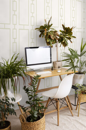 bureau vert papier peint série géométrique vintage panoramique