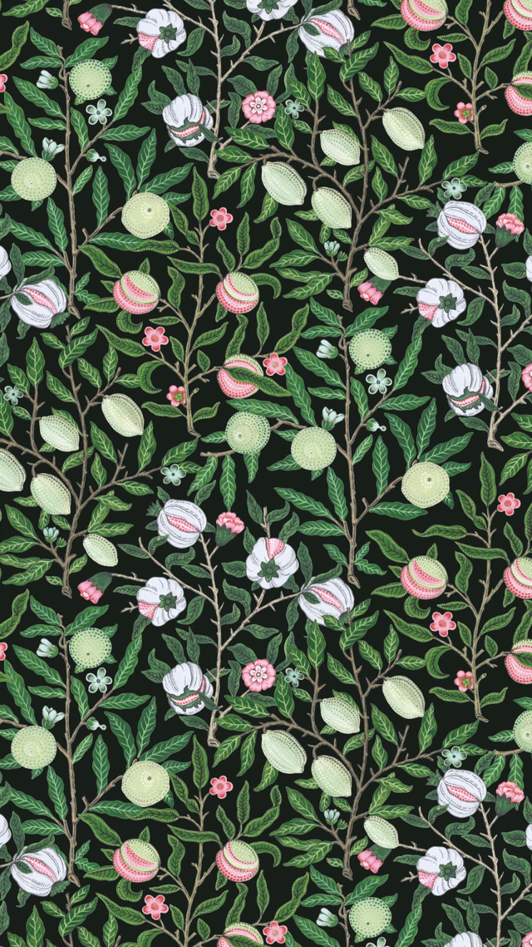 N507 Black Pattern Fancy Wallpaper Fruity Panoramic Vegetable Nature Black Pattern Fancy Wallpaper Fruity Panoramic Vegetable Nature