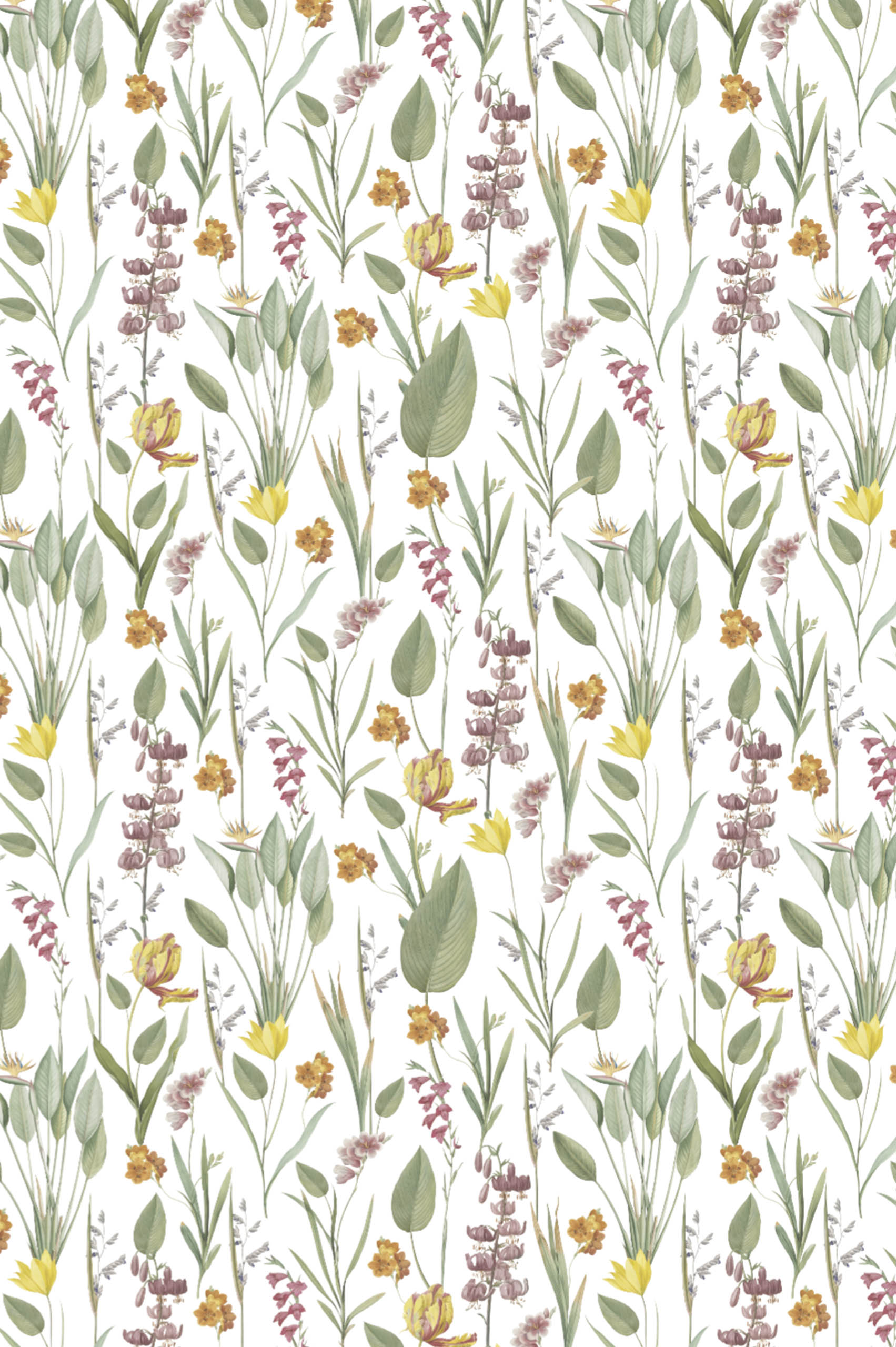 White Pattern Botanical Chic Floral Plant Nature Panoramic Wallpaper