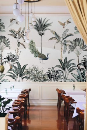 wallpaper 544 lush foliage public space